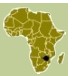 Zimbabwe: Sophists for sanctions