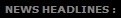 NEWS HEADLINES :